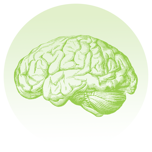 Cognitive enhancement graphic
