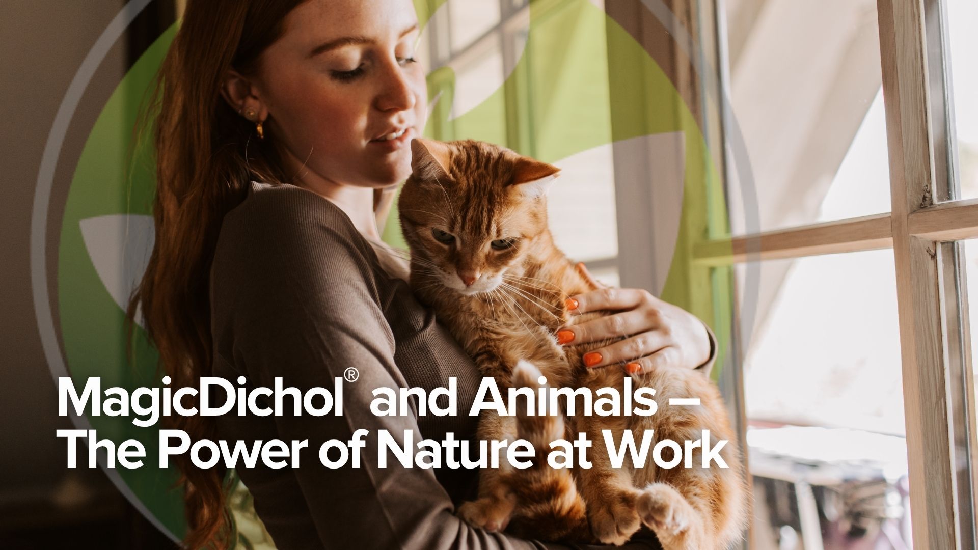 Use Animals For Work Testimonial Tuesday: MagicDichol® and Animals – The Power of Nature at ...